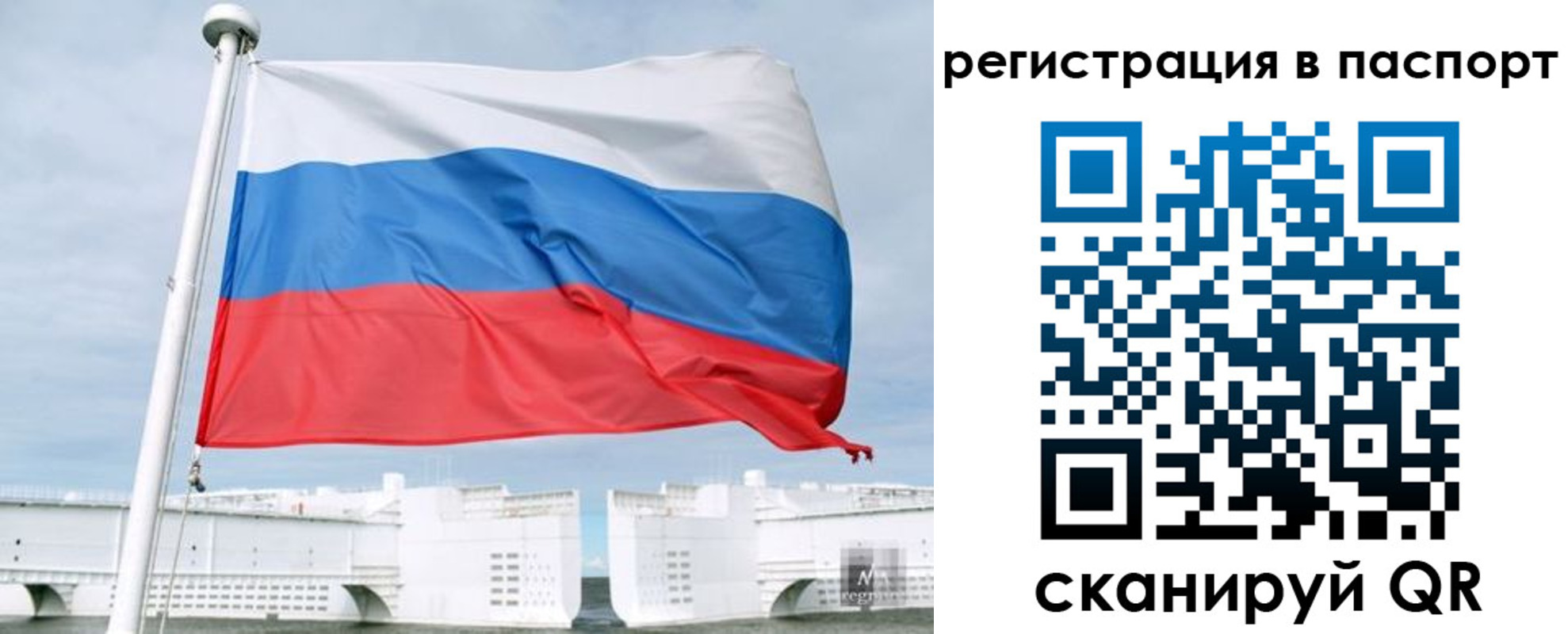 регистрация в Светогорске